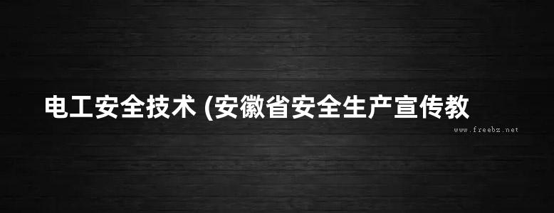 电工安全技术 (安徽省安全生产宣传教育中心组织编写)